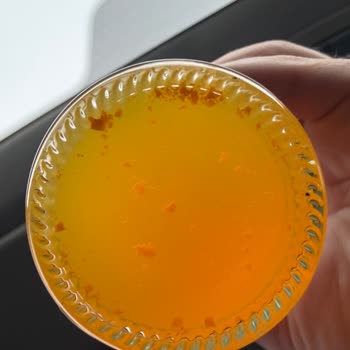 Gazozda Beklenmedik Yabancı Maddeler