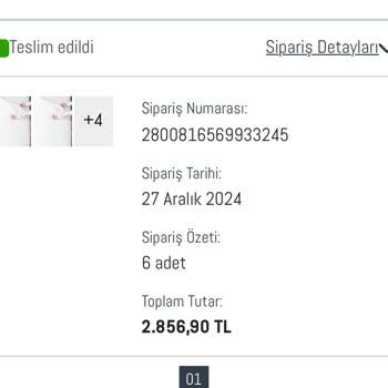 Madame Coco Soyulan SAHAN Seti: Müşteri Memnuniyetsizliği