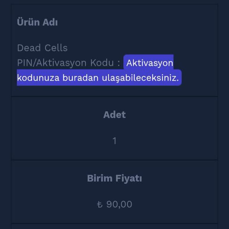 Etail.com.tr Dead Cells Oyununun Aktivasyon Kodu Sorunu