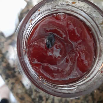 Çilek Reçelinde Böcek Şoku