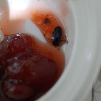 Çilek Reçelinde Böcek Şoku