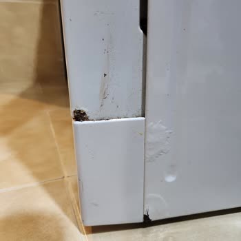 Beko Çamaşır Makinesi Ve Bulaşık Makinesi Paslanma Sorunu