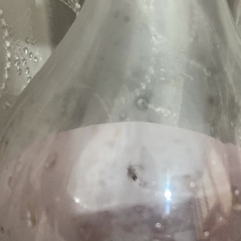 Coca-Cola Kola İçinde Böcek Şoku: Sağlığımız Tehlikede!