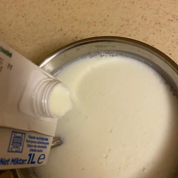 Taze Süt Beklerken Yoğurt Kıvamında Sürpriz