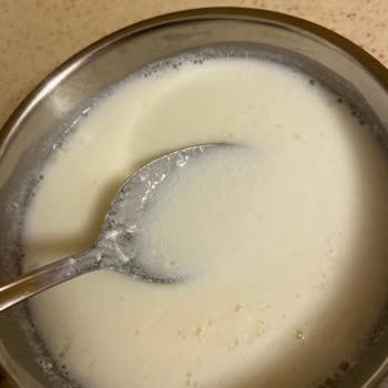 Taze Süt Beklerken Yoğurt Kıvamında Sürpriz