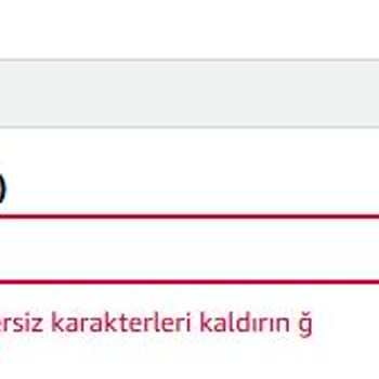 Amazon Türkiye'de Türkçe Karakter Sorunu