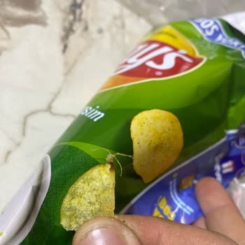 Lays Cips Paketinde Şok Edici Böcek Buluntusu