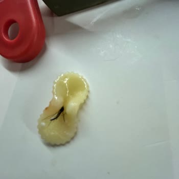 Makarna Paketinde Şok Edici Sürpriz