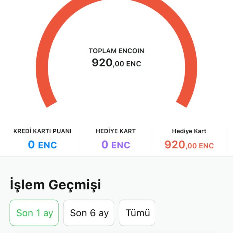İade Edilen Biletin Para İadesi Sorunu