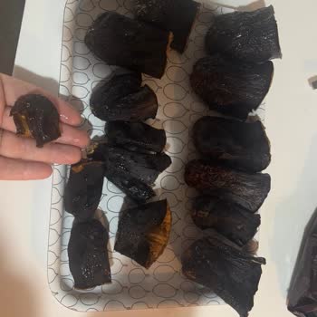 Yörük Ana Çiftliği Dolmalık Patlıcan Boyutları Sorunu