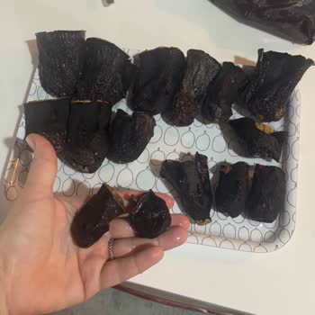 Yörük Ana Çiftliği Dolmalık Patlıcan Boyutları Sorunu