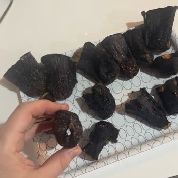 Yörük Ana Çiftliği Dolmalık Patlıcan Boyutları Sorunu