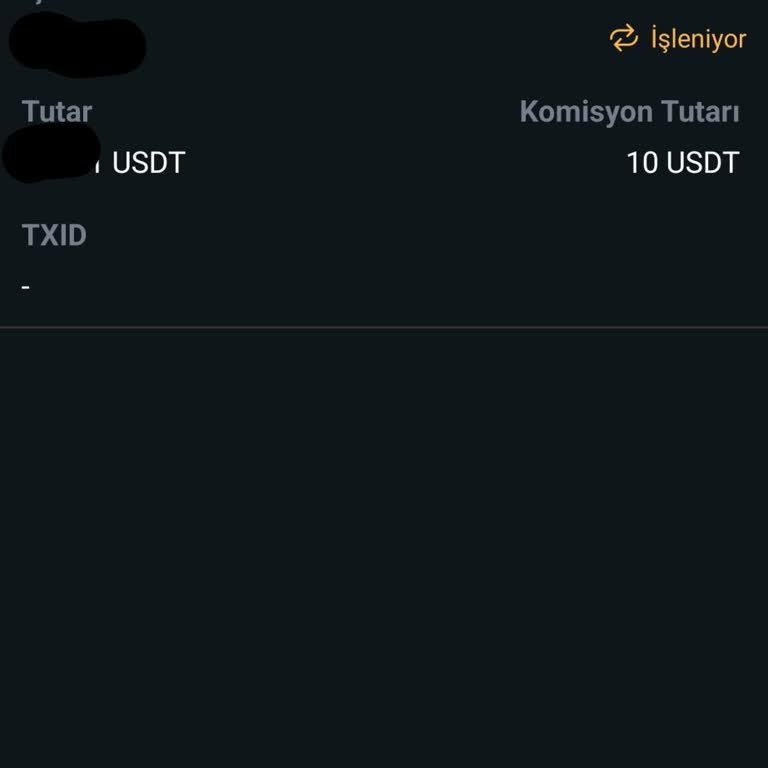 Binance Hesabıma USTD Aktarımı Hala Yapılmadı