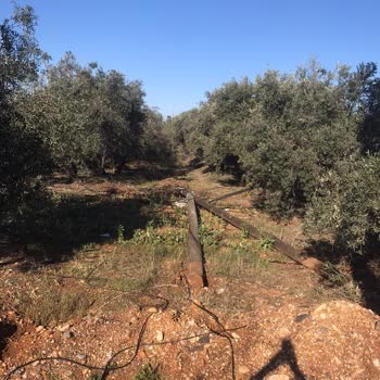 Türk Telekom Sabit Hat Direği Yıkıldı, İletişim Koptu