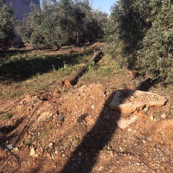 Türk Telekom Sabit Hat Direği Yıkıldı, İletişim Koptu