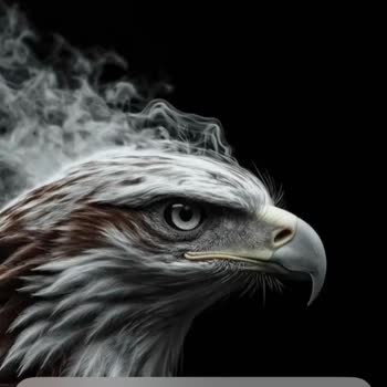 Hücresel Bağlantı Sorunu: Şebeke Çekmiyor!