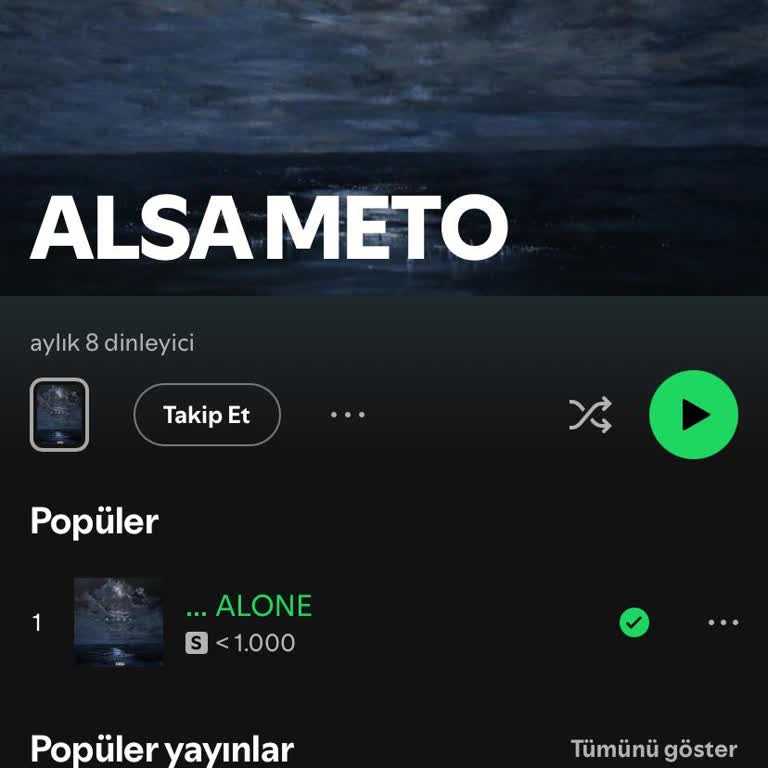 Song Published via DistroKid Appears on Wrong Spotify Profile