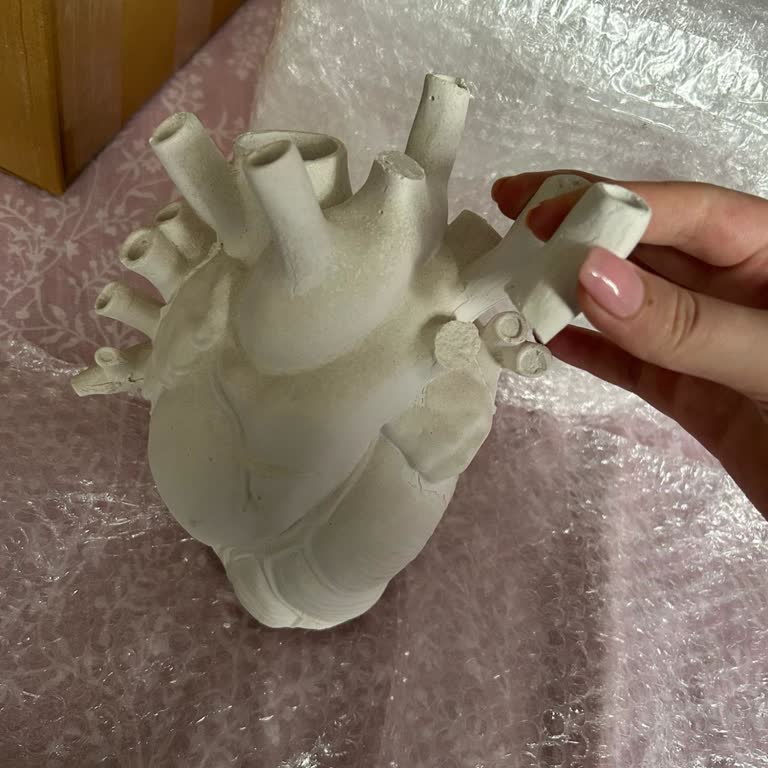 İlgisizlik Ve Kırık Ürün Şoku