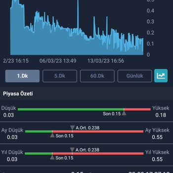Issue with Goldman Sachs Tesla Warrant Pricing – Drastic Value Discrepancy