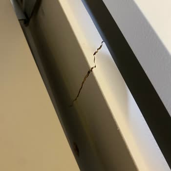 Weltew Home'dan Aldığımız Ürünler Sorunlu Ve Eksik Teslim Edildi