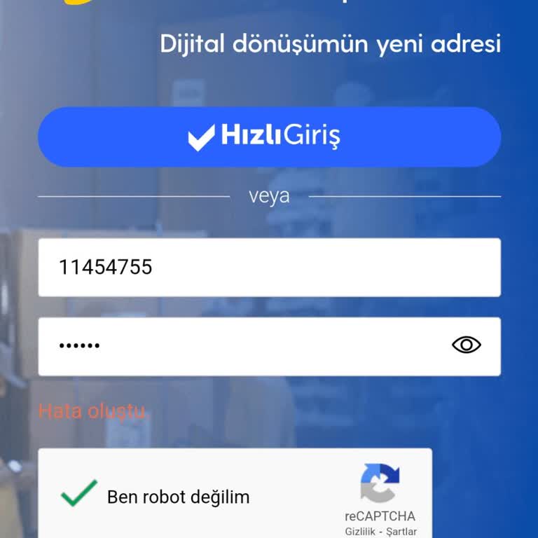 E-Fatura Modülüne Giriş Sorunu Ve Destek Eksikliği