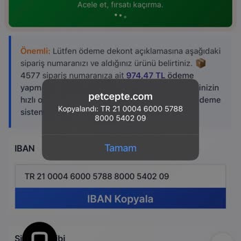 Sokak Hayvanları İçin Verilen Siparişin Ardından Gelen Hayal Kırıklığı