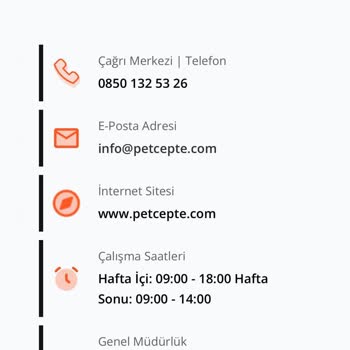 Sokak Hayvanları İçin Verilen Siparişin Ardından Gelen Hayal Kırıklığı