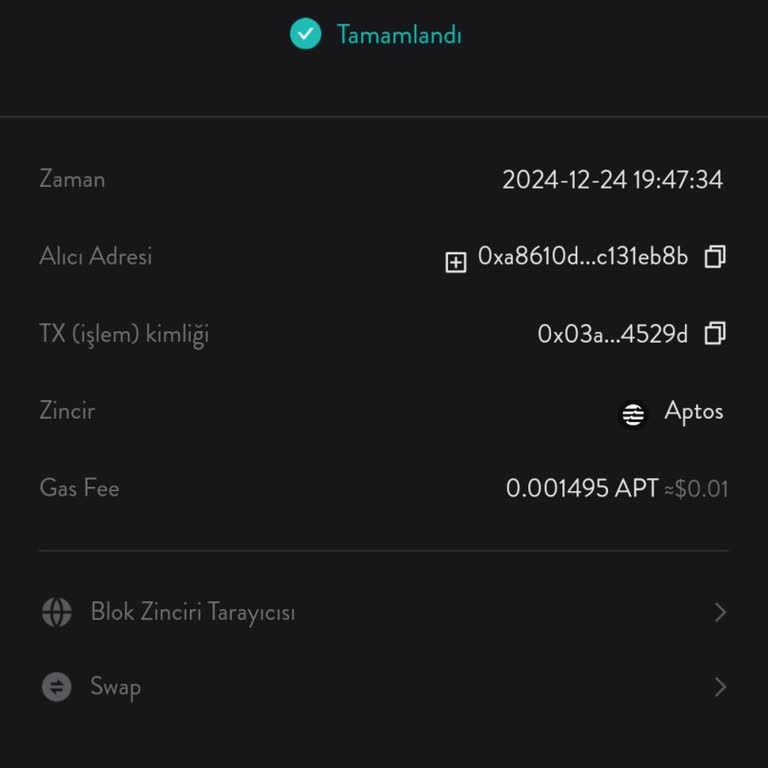 Bitget Wallet USDT Transfer to Spot Account Delayed on Aptos Network