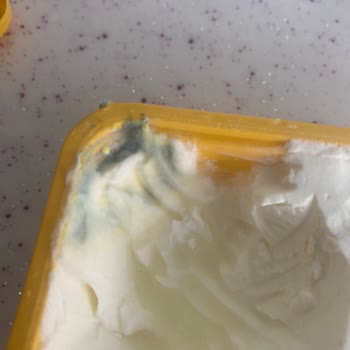 Yörsan Taze Alınan Peynirin Erken Küflenmesi Sorunu