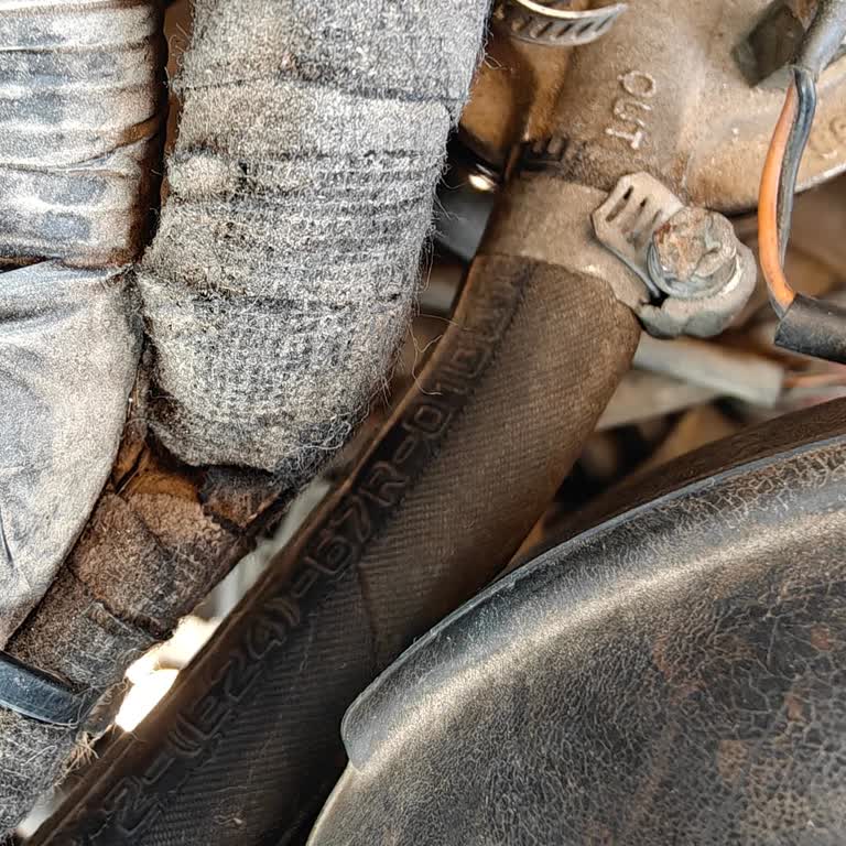 Tüvtürk Muayene Sürecinde Eksik Bilgi Mağduriyeti