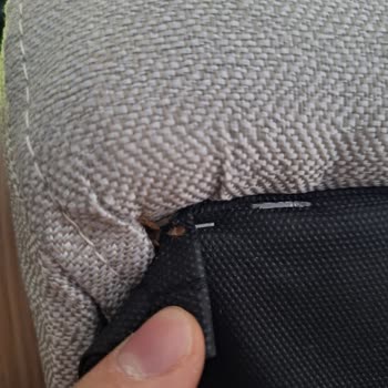 Tahtakurusu Sorunu: Enza Home Ürünüyle Gelen Kabus