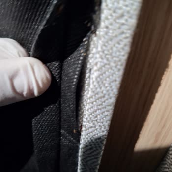 Tahtakurusu Sorunu: Enza Home Ürünüyle Gelen Kabus