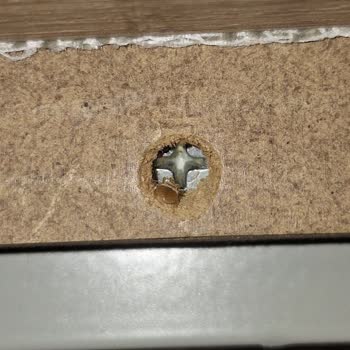 Tahtakurusu Sorunu: Enza Home Ürünüyle Gelen Kabus