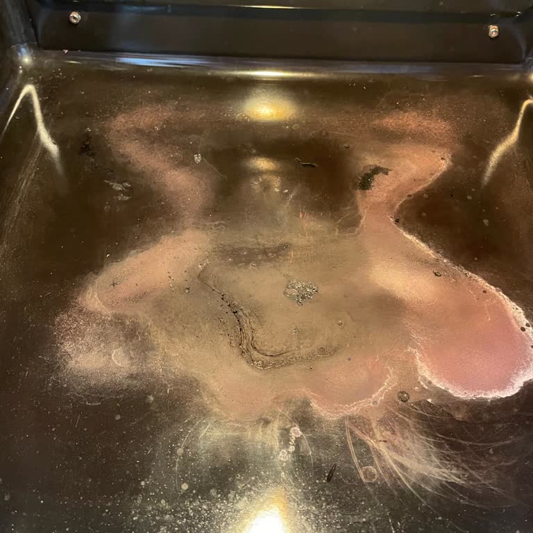 Siemens Ev Aletleri Solo Fırınında Oksitlenme Ve Yetersiz Çözüm!