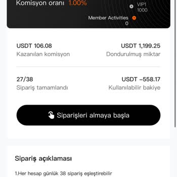 Allegro. CC Üzerinden Şüpheli İşlem Ve Güvenlik Endişeleri