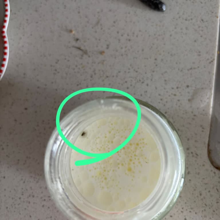 Bebek Mamasında Böcek Şoku: Kontrol Eksikliği Mi?