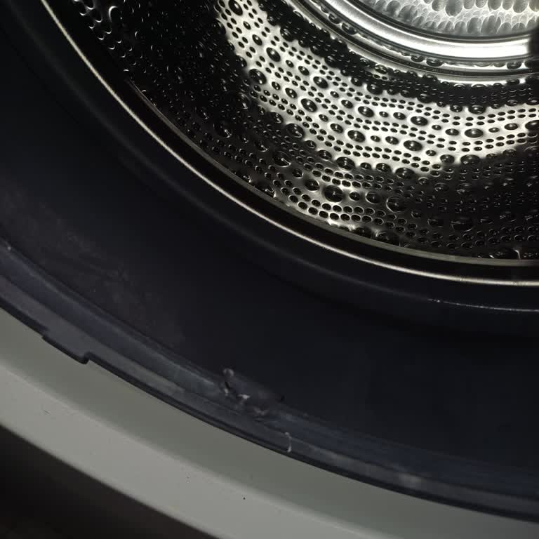 Bosch Çamaşır Makinesi Körük Lastiği Sorunu