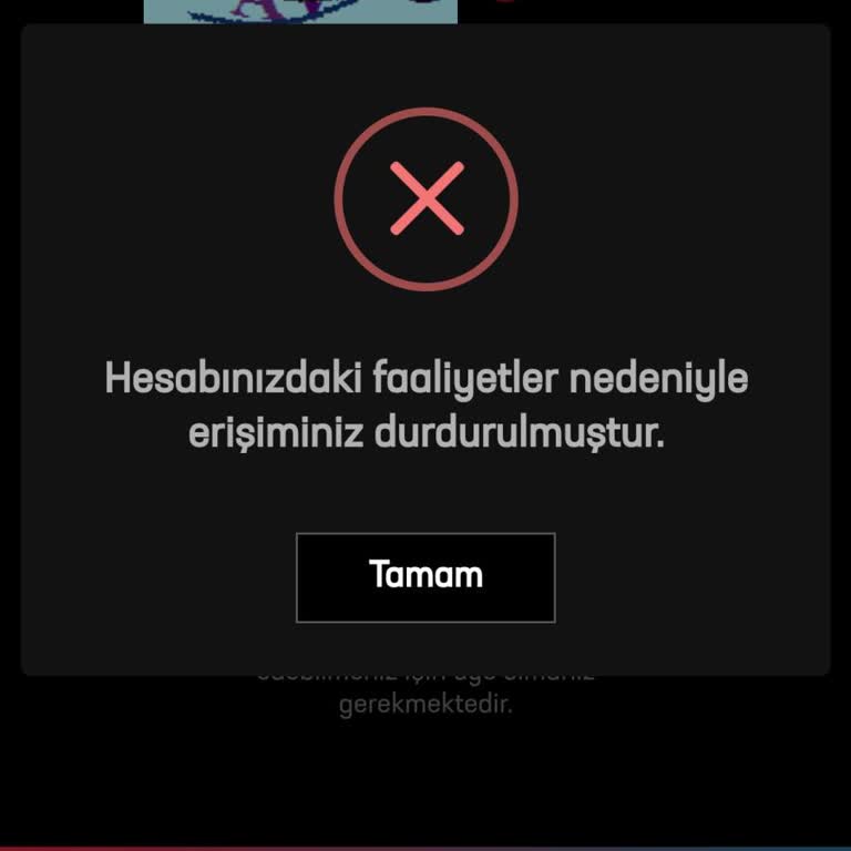 Passo Uygulaması Ve Web Sitesi Erişim Sorunu
