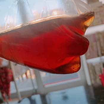 Bozuk Lipton İçecek: İnsan Sağlığı Tehlikede