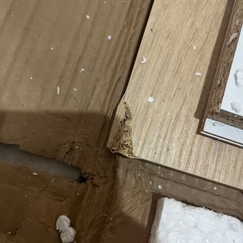 Kırık Ürün Ve İlgisiz Müşteri Hizmetleri