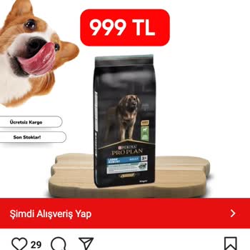 Sipariş Verdim, Ne Mama Ne İade: Sanat Petshop Mağduriyeti