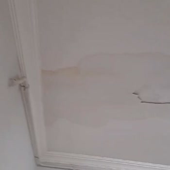 Sigorta Mağduriyeti Ve Eksper Sorunu