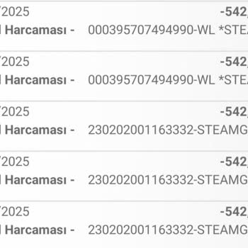 Steam'de Yetkisiz Para Kesintisi Sorunu