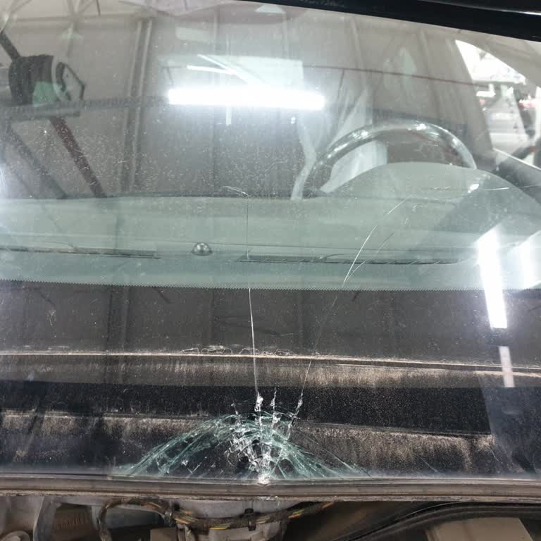 Opel Servisinden Parça Tedarik Sorunu Ve İkame Araç Mağduriyeti