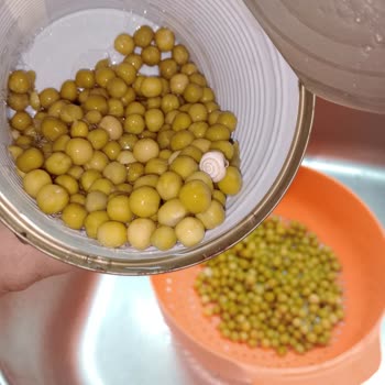 Konserve Bezelyede Hijyen Sorunu