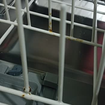 Beko Bulaşık Makinesi Parçaları Küfleniyor