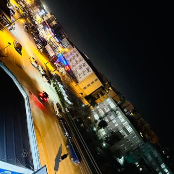 Başıboş Köpek Tehlikesi: Acil Önlem Çağrısı