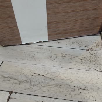 Sigorta Sürecinde Mağduriyet Ve İletişim Sorunları