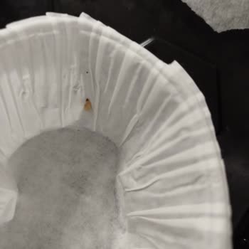 Dr. Oetker Kek Karışımında Kurt Şoku