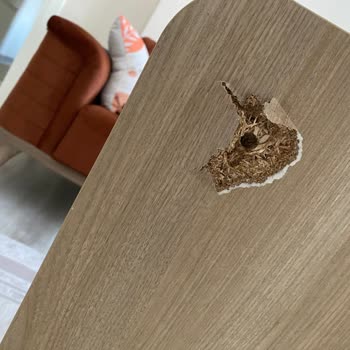 Dayanıksız Sehpa Ve İlgisiz Müşteri Hizmetleri Deneyimi